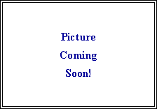Text Box: Picture Coming Soon!